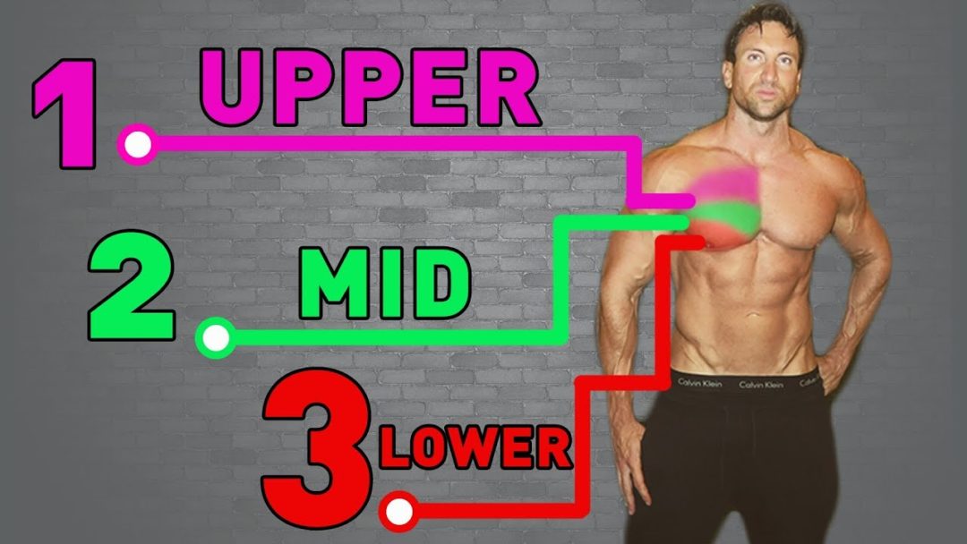 Lower chest workout