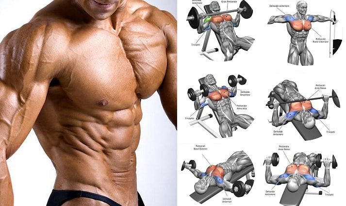 Best Upper Chest Workout And Their Benefits Incline Dumbbell Press 
