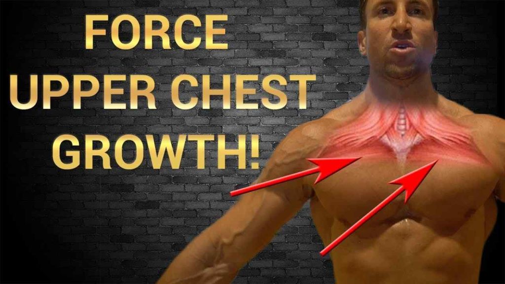 Upper Chest workout benefits