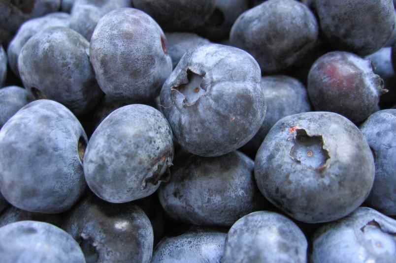 Are Blueberries acidic? Alkaline Diet Foods and Benefits Must Read