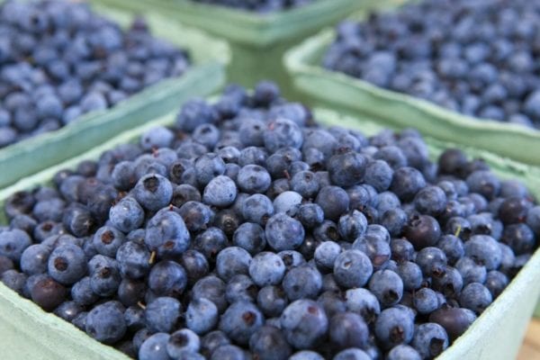 Are blueberries acidic