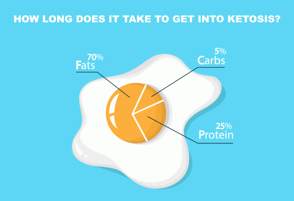 0 how long. Egg diagram. Ketogenic желтые с белым. How long does it take правило. How long does it take you to.