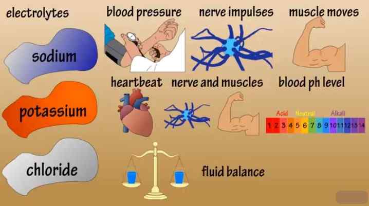 Keep a check on the electrolyte balance of the body