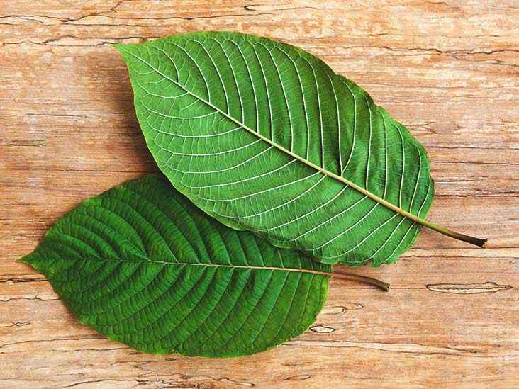 Kratom Diet Plan