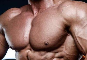 Chest Workouts For Building Awesome Pecs