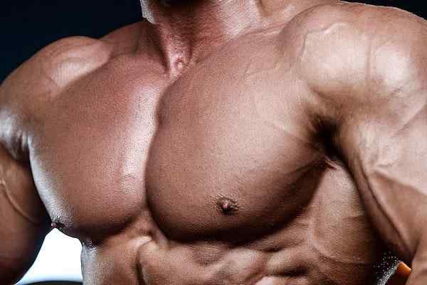 Chest Workouts For Building Awesome Pecs